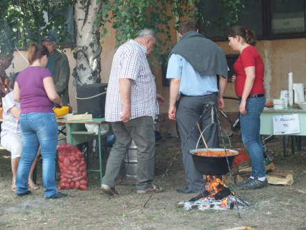 ALMA_Mater_weekend_2015._junius_20