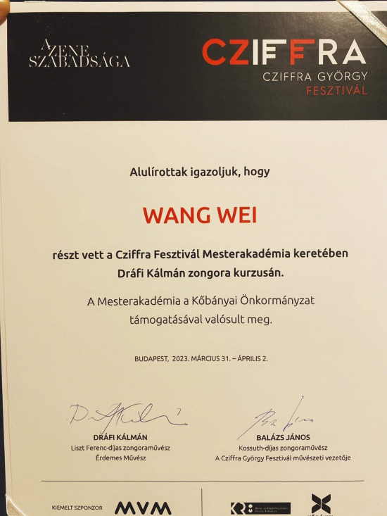 wang_wei_Cziffra_Fesztival