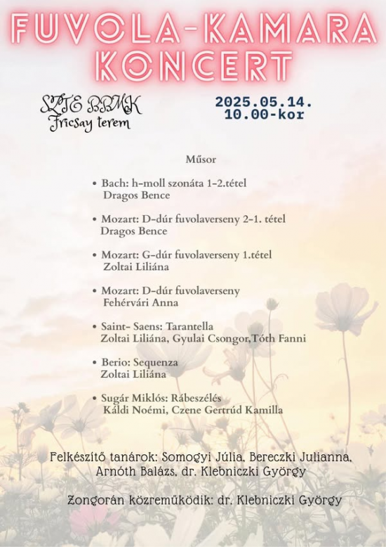 kamara_koncert_Somogy_Julia