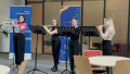 Fuvola flashmob.zip