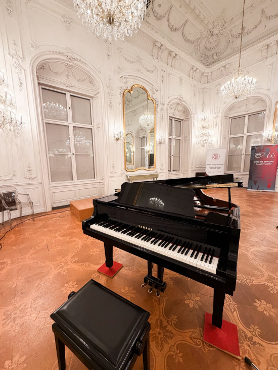 Valkai_David_korusfellepes4